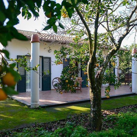 Apartmán Agriturismo Piccolo Canyon Piano di Sorrento Exteriér fotografie