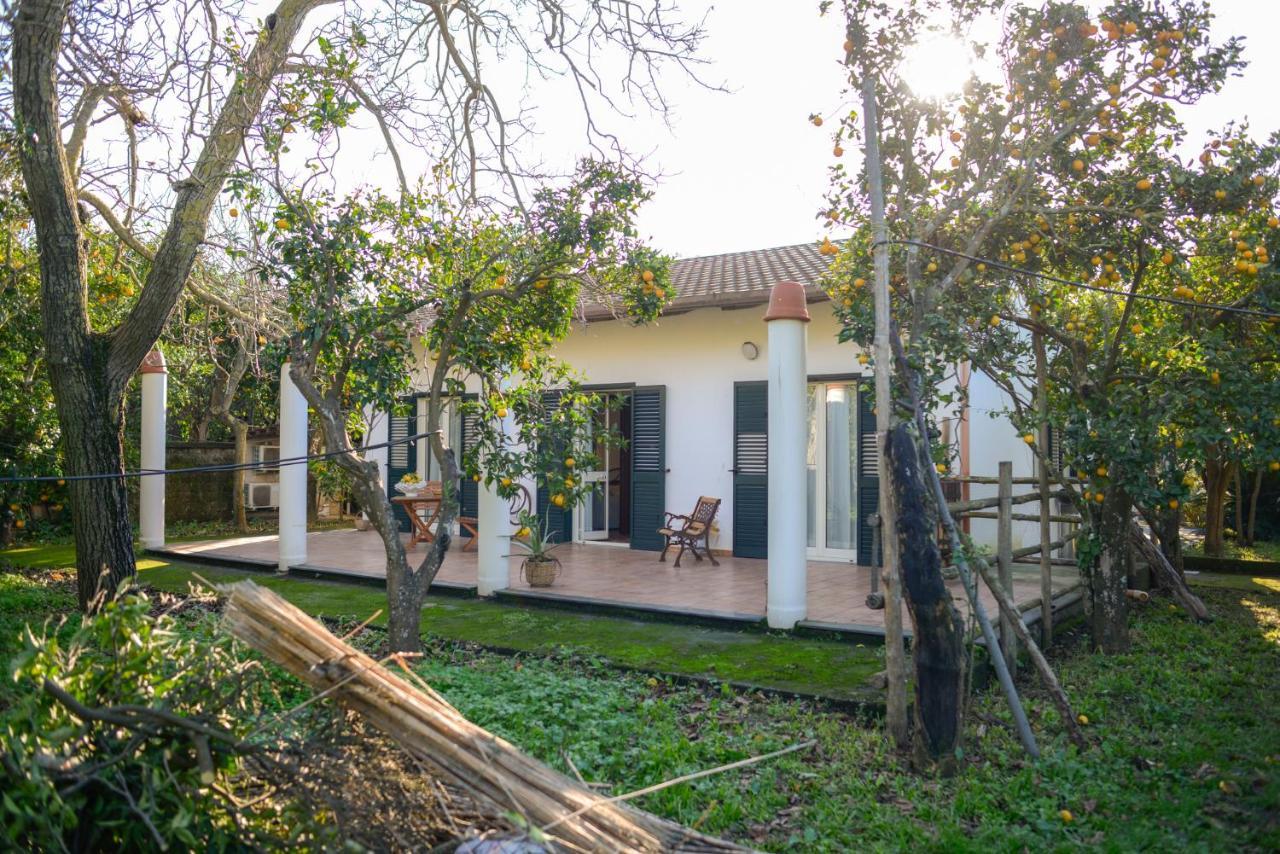 Apartmán Agriturismo Piccolo Canyon Piano di Sorrento Exteriér fotografie