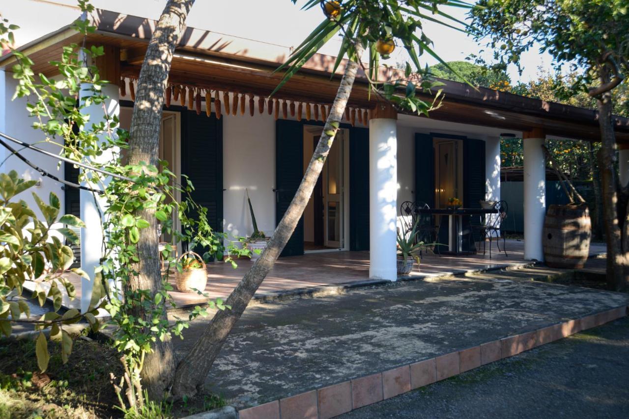 Apartmán Agriturismo Piccolo Canyon Piano di Sorrento Exteriér fotografie
