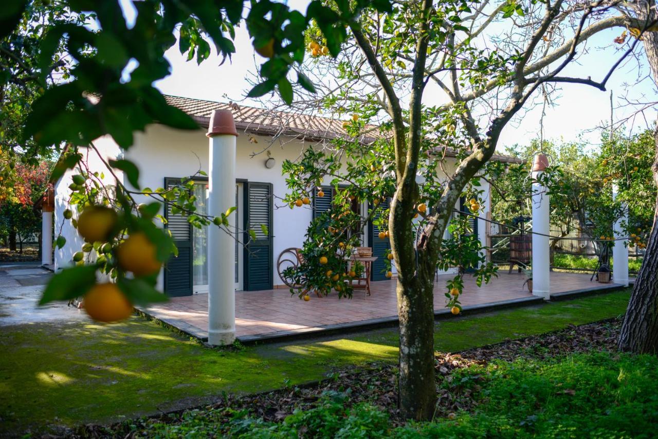 Apartmán Agriturismo Piccolo Canyon Piano di Sorrento Exteriér fotografie